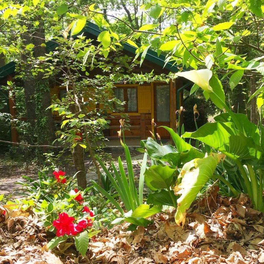 Chalet Etna Milo Exterior photo